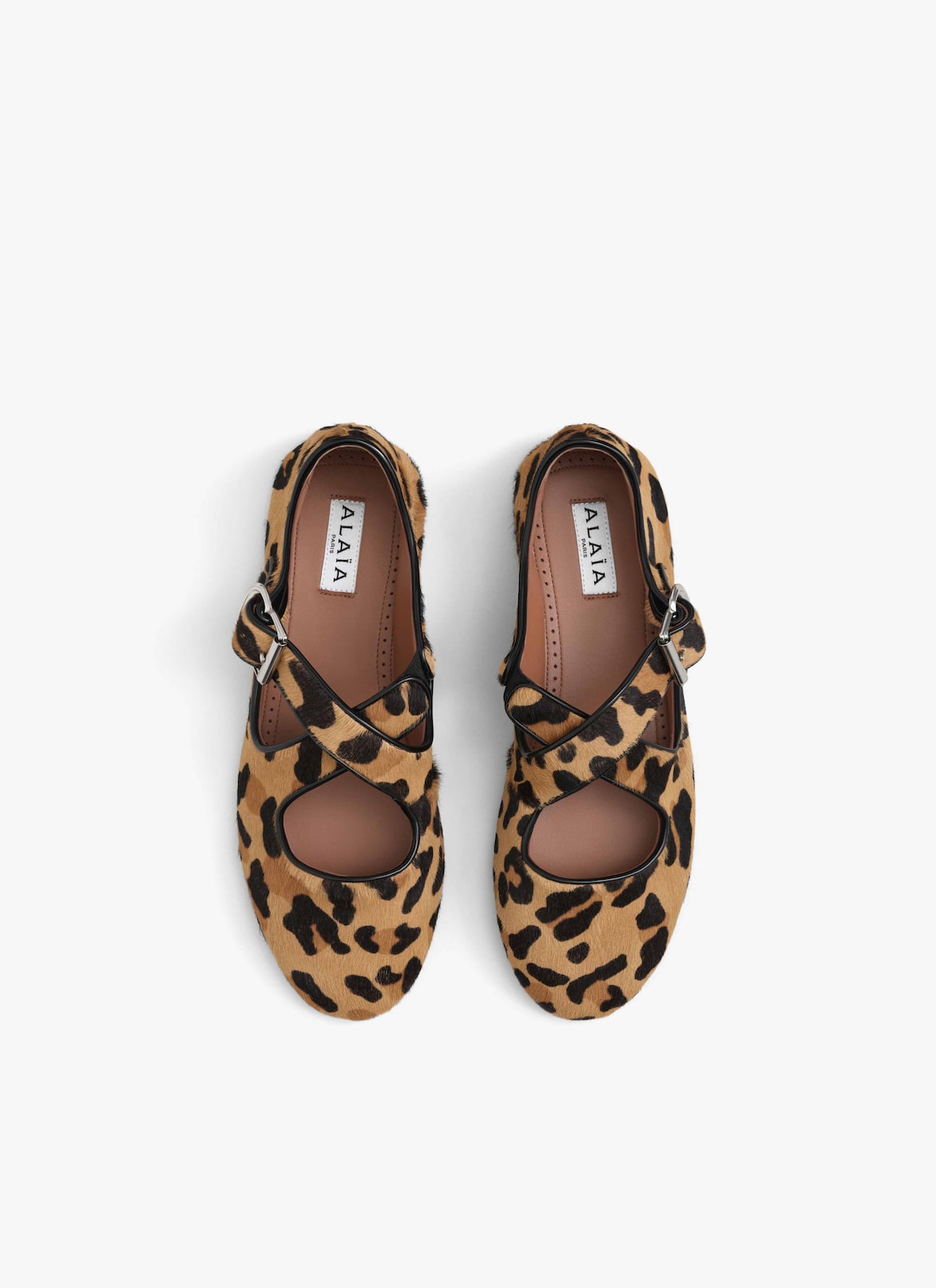 CRISS CROSS BALLET FLATS IN LEOPARD HAIRCALF ALAÏA SEPIA CRISS CROSS BALLET FLATS IN LEOPARD HAIRCALF